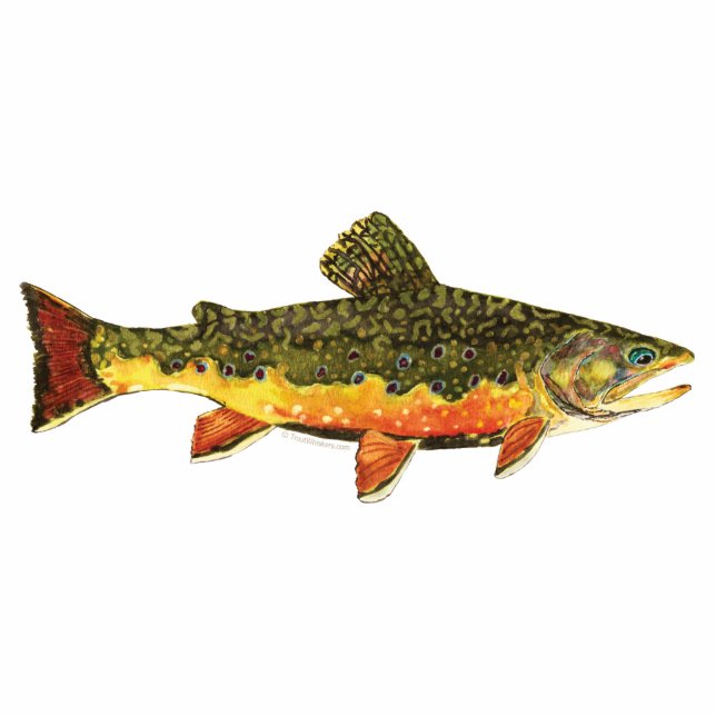 Brook Trout Fish Painting Statuette (Front)