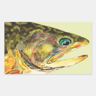 Brook Trout Fisherman Rectangular Sticker