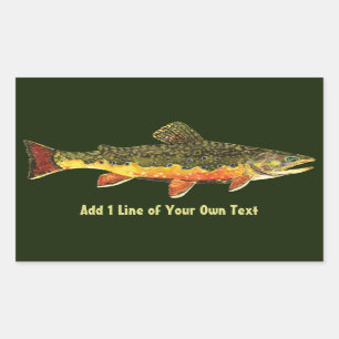 Brook Trout Fisherman's Rectangular Sticker