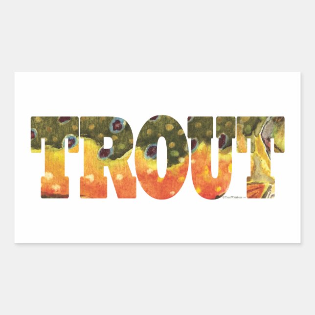 Brook Trout Fishing Rectangular Sticker (Front)
