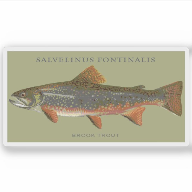 Brook Trout Fishing Sticker (Front)