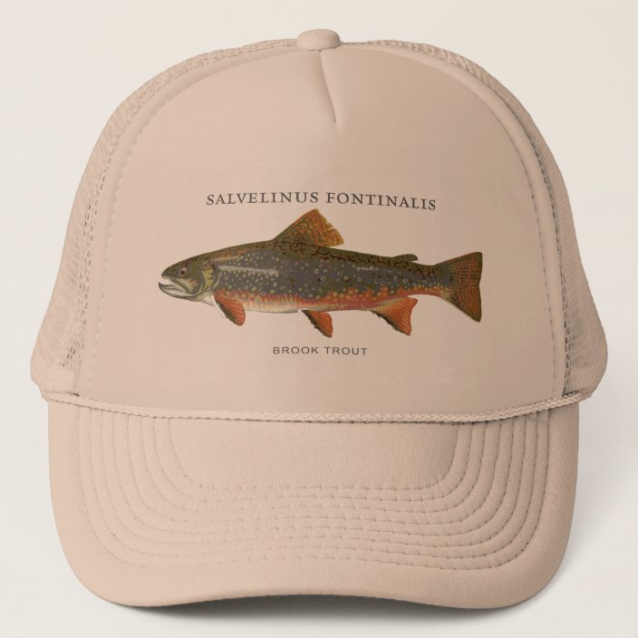 brook trout hat