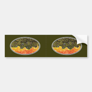 Brook Trout Fly Fishing Bumper Sticker