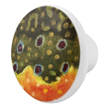 Brook Trout Fly Fishing Ichthyologist Angler's Ceramic Knob by TroutWhiskers at Zazzle