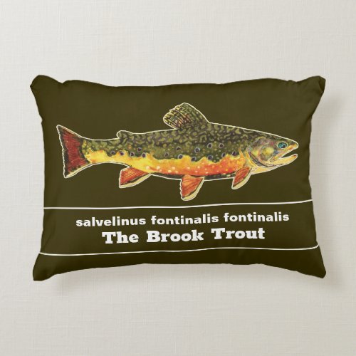 Brook Trout Fly Fishing Latin Name Ichthyology Accent Pillow