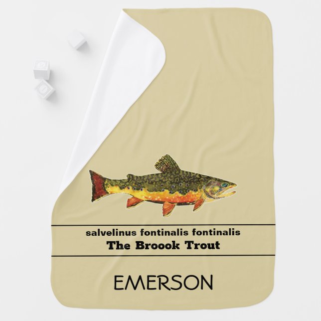 Brook Trout Fly Fishing Latin Name Ichthyology Baby Blanket (In Situ)