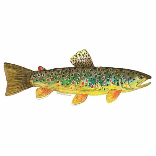 Brook Trout Fly Fishing Statuette