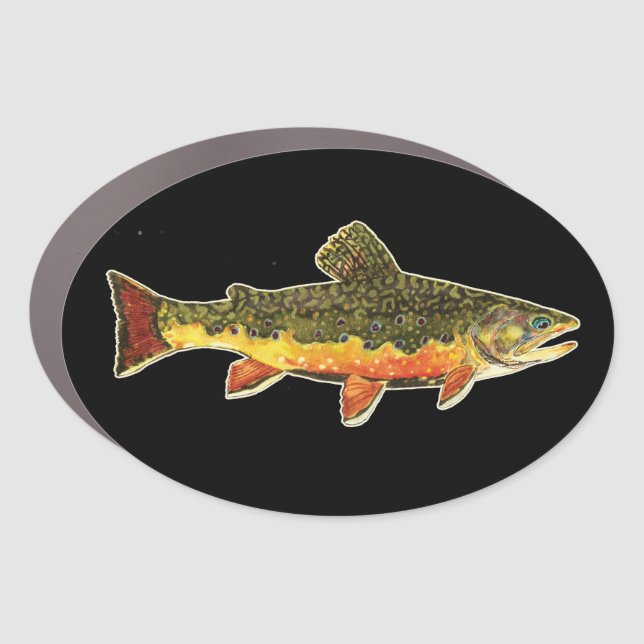 Brook Trout Fly Fishing Truck or Car Magnet (Front)