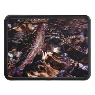 Brook Trout in River Water Tow Hitch Cover