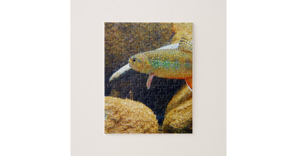 Brook Trout Jigsaw Puzzle Zazzle