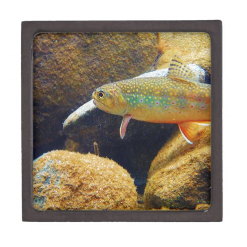 Brook Trout Keepsake Box