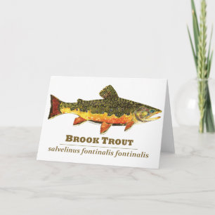 Brook Trout, Latin Holiday Card