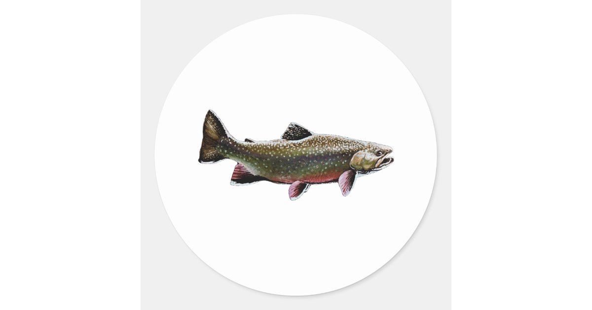 Fly Fish Food Sticker - Brook Trout (4)