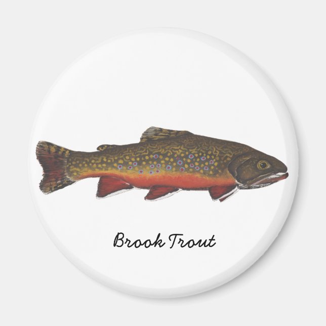 Brook Trout Magnet (Front)