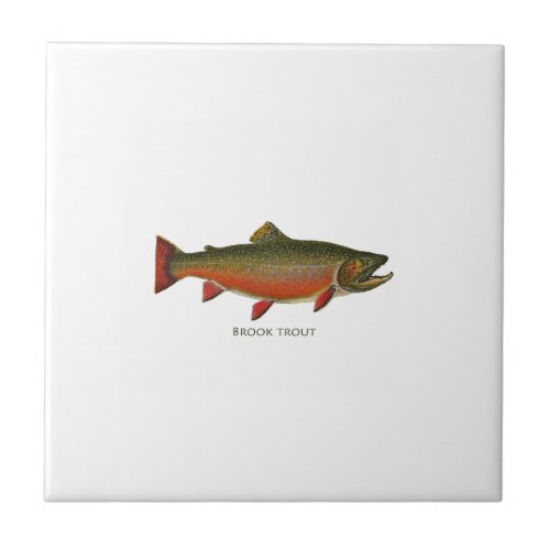 Brook Trout Male Spawning Phase Tile
