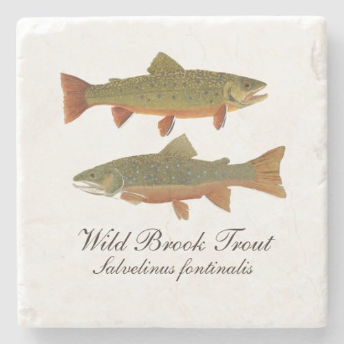 Brook Trout Marble Coaster