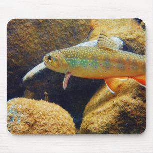 Brook Trout Mouse Pad