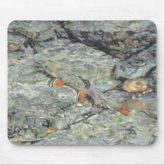 Brook Trout mousepad Blending in rock creek