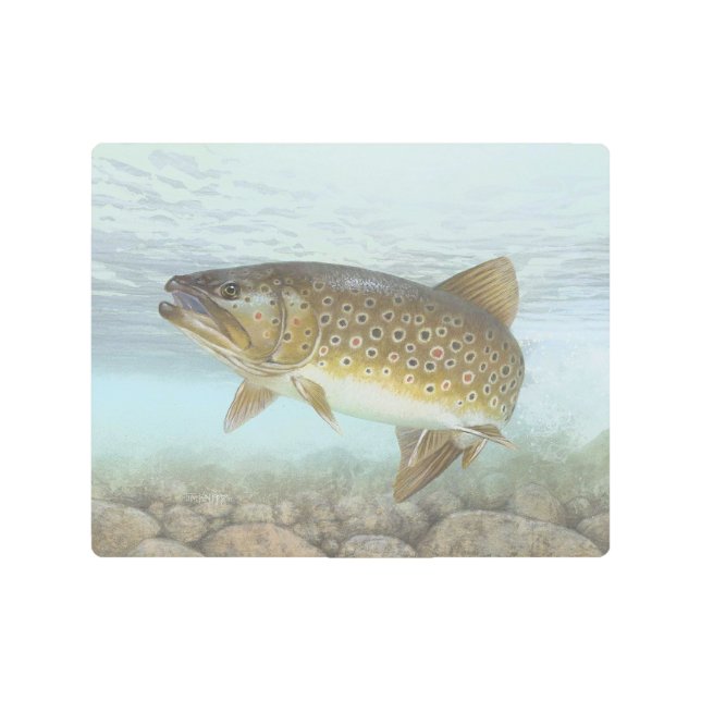 Brook Trout Painting Metal Print (Front)