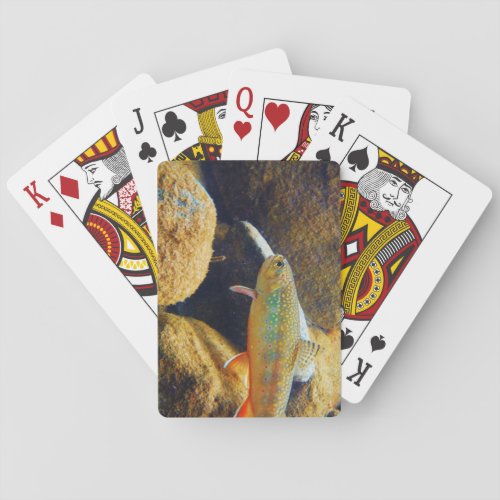 Brook Trout Playing Cards