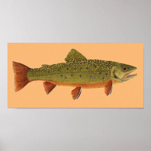 Brook Trout Poster