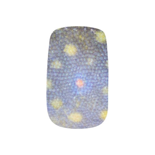 Brook Trout Scales Photography Minx Nail Art