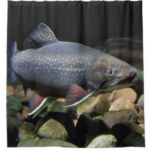 BROOK TROUT SHOWER CURTAIN