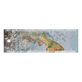 Brook Trout Splash Ruler