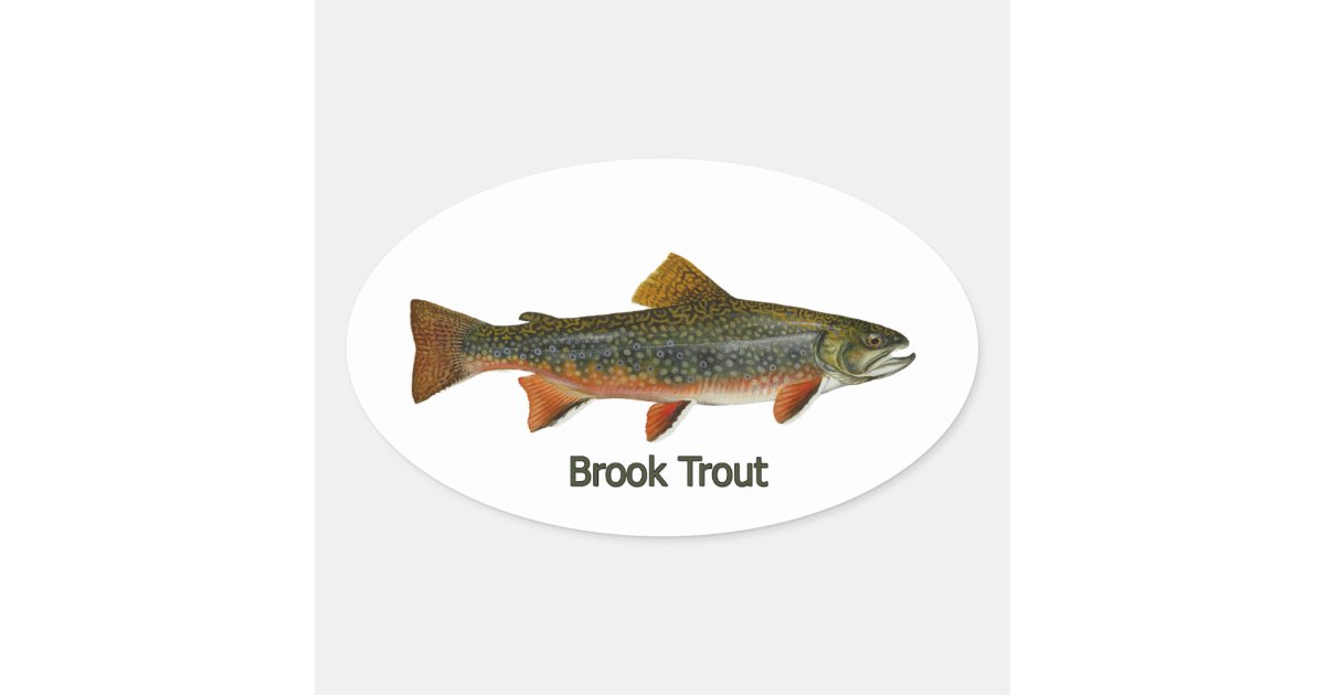 Trout Fly Fishing Nature Outdoor Fisherman Gift Sticker for Sale by Truly  Cheeky