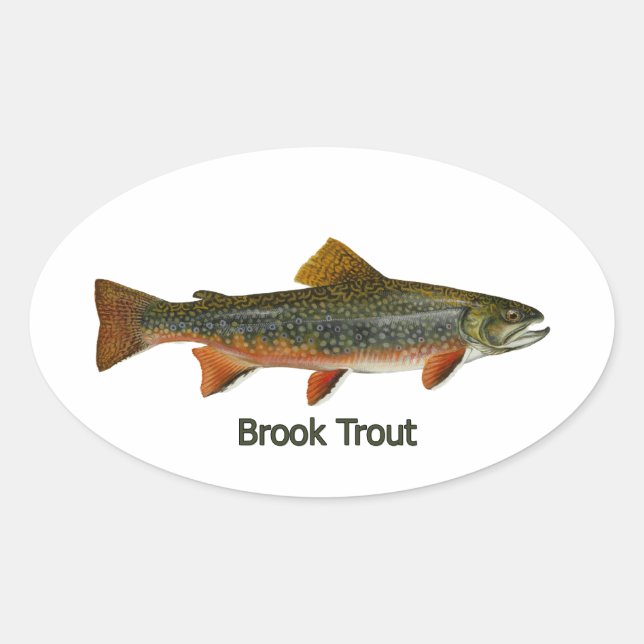 Brook Trout (titled) Oval Sticker (Front)