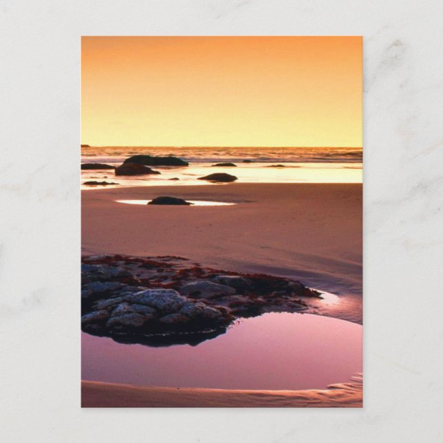 Brookings Harbor Sunset Fine Photo Postcard (Front)