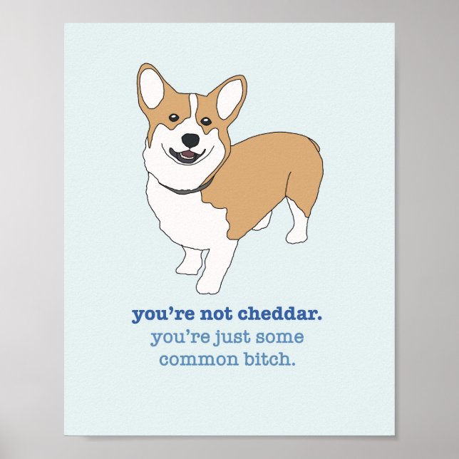 Brooklyn 99 Cheddar Poster (Front)