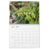 Brooklyn Orchids 2024 12-Month Calendar (Mar 2025)