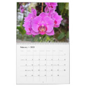 Brooklyn Orchids 2024 12-Month Calendar (Feb 2025)