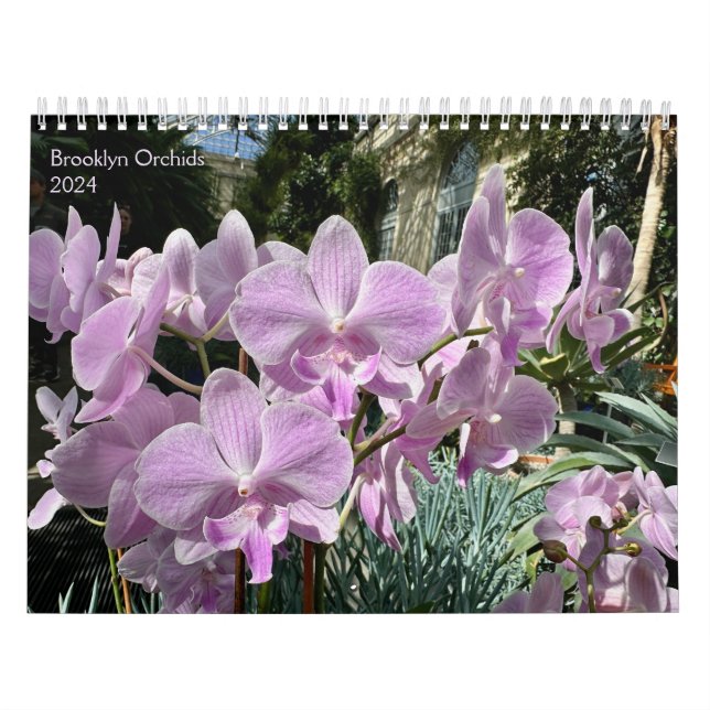 Brooklyn Orchids 2024 12-Month Calendar (Cover)