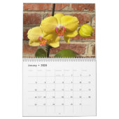 Brooklyn Orchids 2024 12-Month Calendar (Jan 2025)