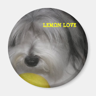 BROOKLYN RULES LEMON LOVE MAGNET