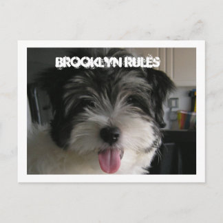 BROOKLYN RULES POSTCARD