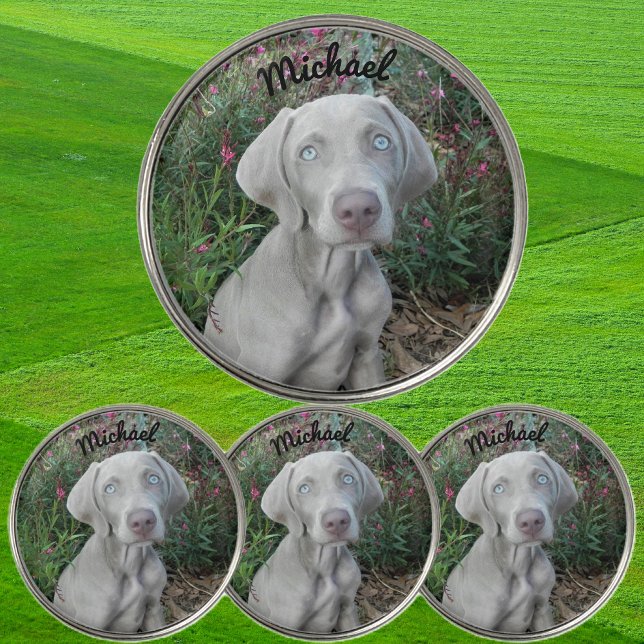 Brooklyn the Weimaraner Dog - Golf Ball Markers (Creator Uploaded)