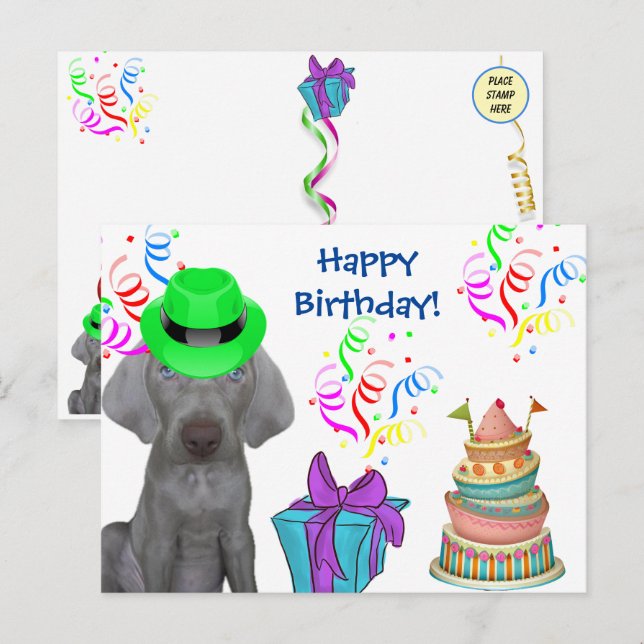 Brooklyn the Weimaraner's Birthday  Holiday Postcard (Front/Back)