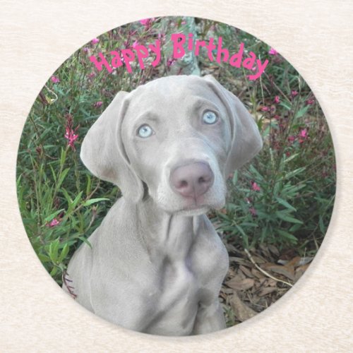 Brooklyns Birthday Garden Party _ Weimaraner Dog  Round Paper Coaster