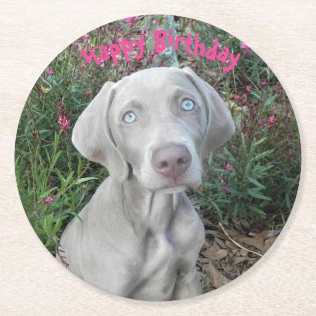 Brooklyn's Birthday Garden Party - Weimaraner Dog  Round Paper Coaster (Front)
