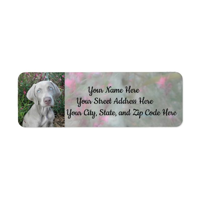 Brooklyn's Garden Party - Weimaraner Dog Address  Label (Front)