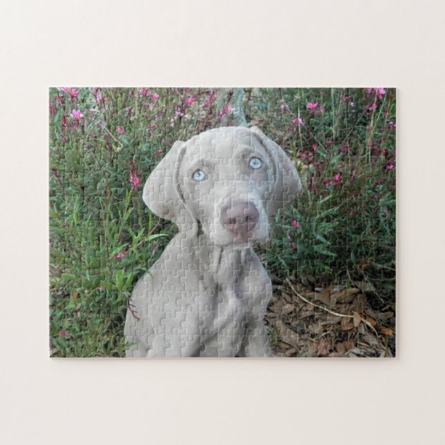 Brooklyn's Garden Party - Weimaraner Dog   Jigsaw Puzzle (Horizontal)