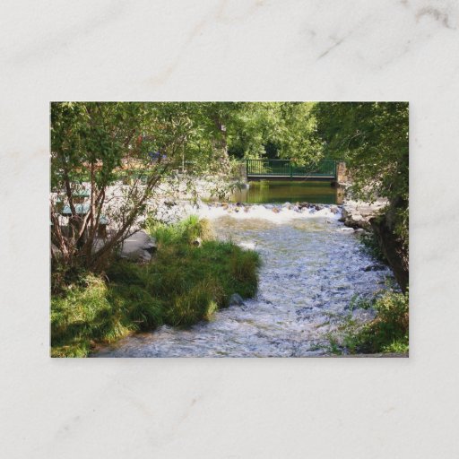 Customizable Brooks Business Card