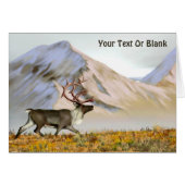 Brooks Range Caribou (Front Horizontal)