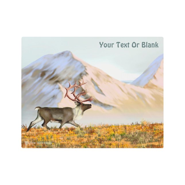 Brooks Range Caribou Metal Print (Front)