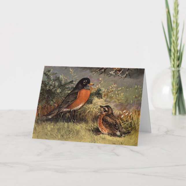 Brooks' Robins Card (Front)