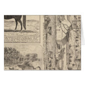 Brookside Dairy Farm (Front Horizontal)