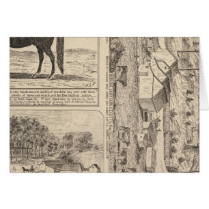 Brookside Dairy Farm